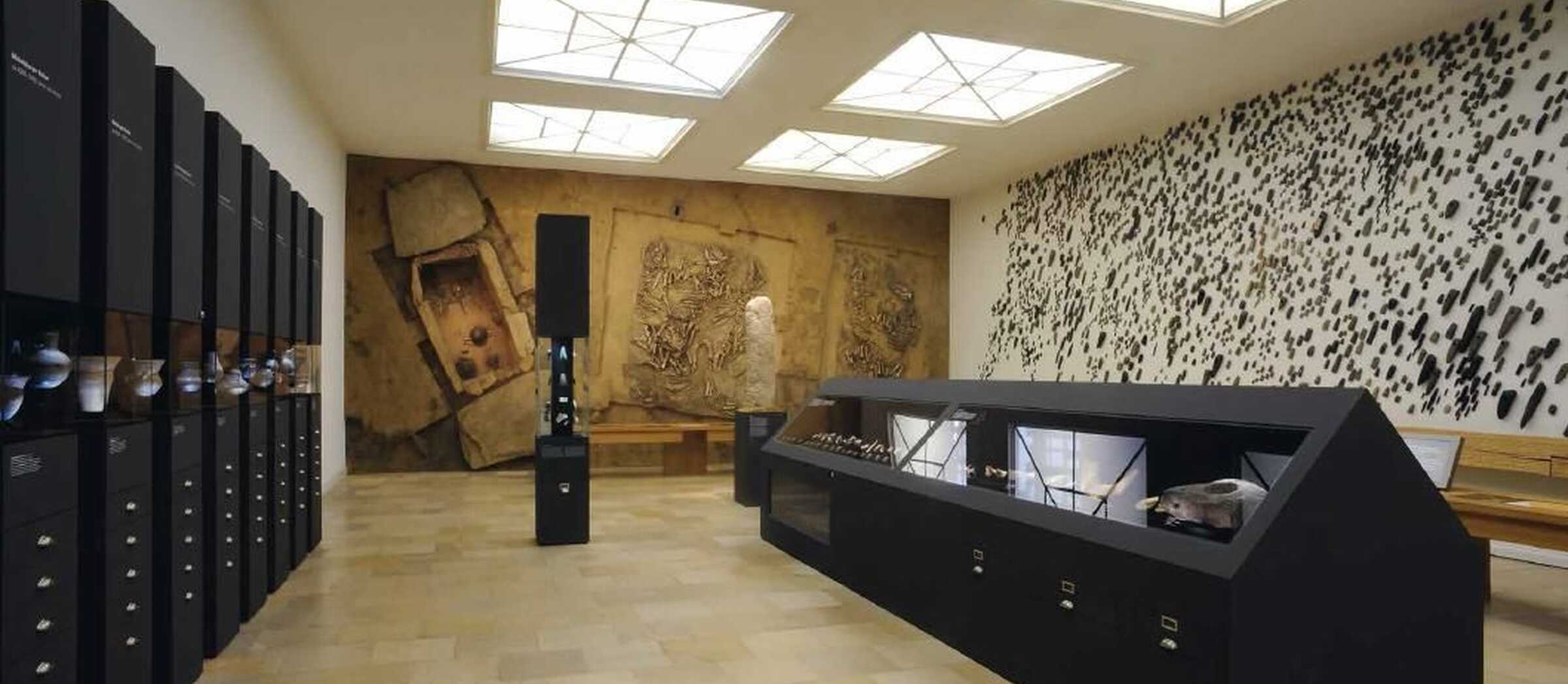 Blick in den Raum der Dauerausstellung zeigt das senkrecht an die Wand montierte Steinkistengrab des Rinderbarons von Westerhausen, mehrere Vitrinen mit archäologischen Funden sowie die lange Wand des Ausstellungssaals, die vollkommen bedeckt ist mit Steinbeilen.