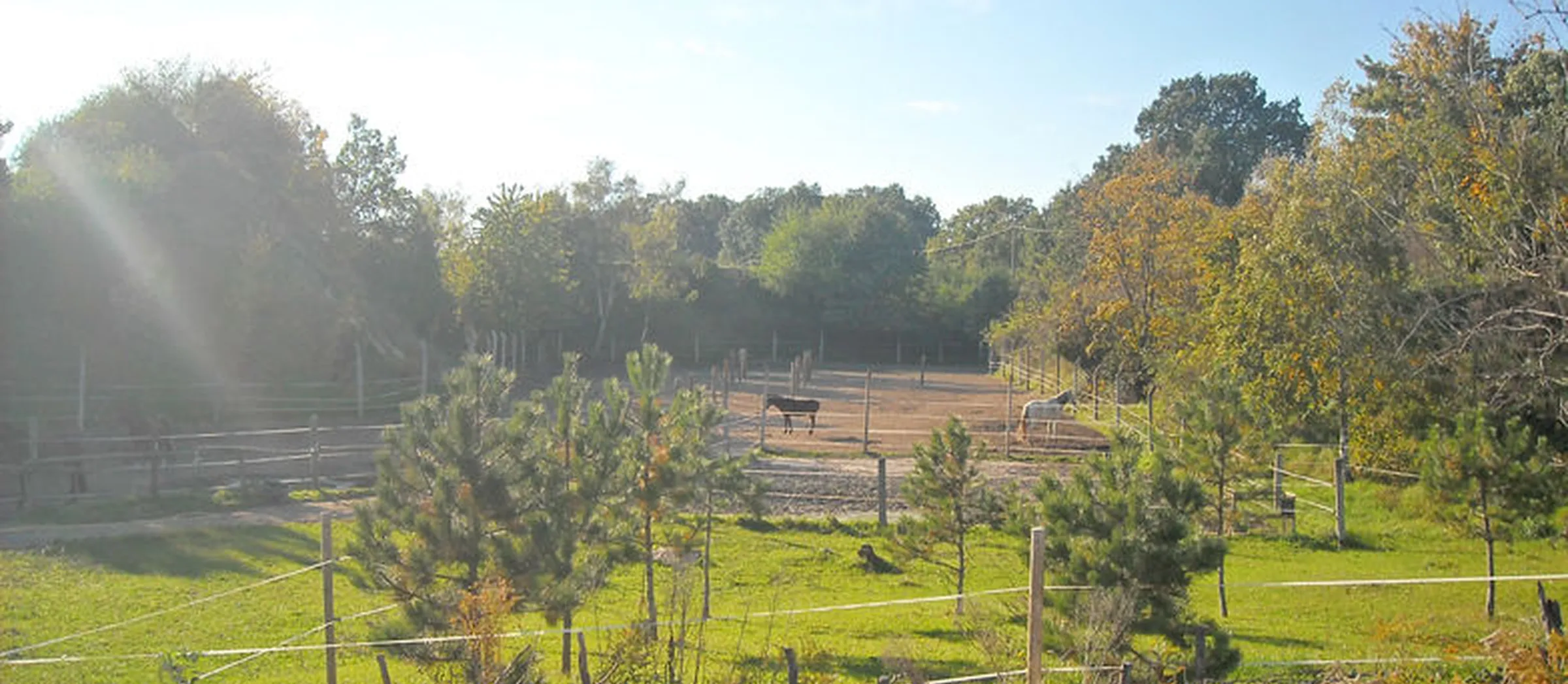 Reitsportverein Dölau