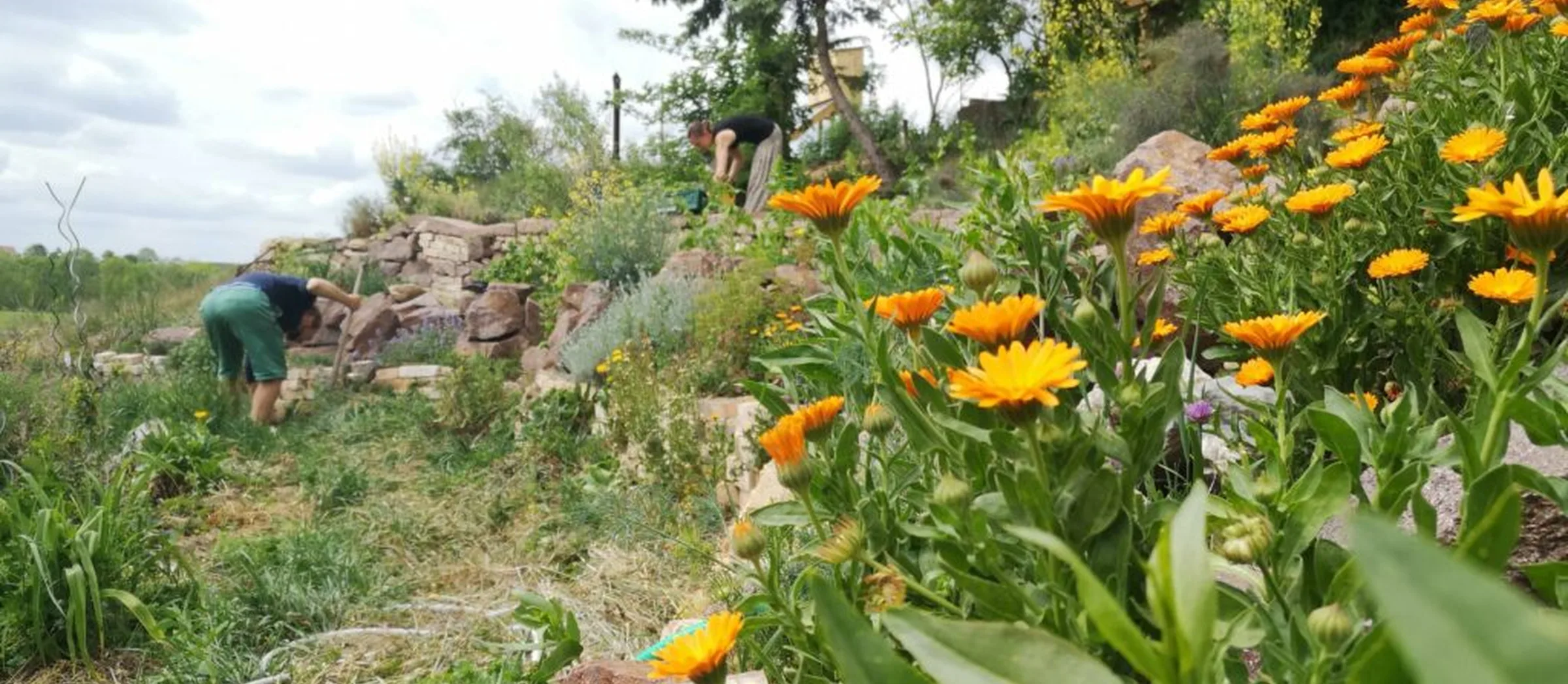 Gemeinschaftsgarten Trotha