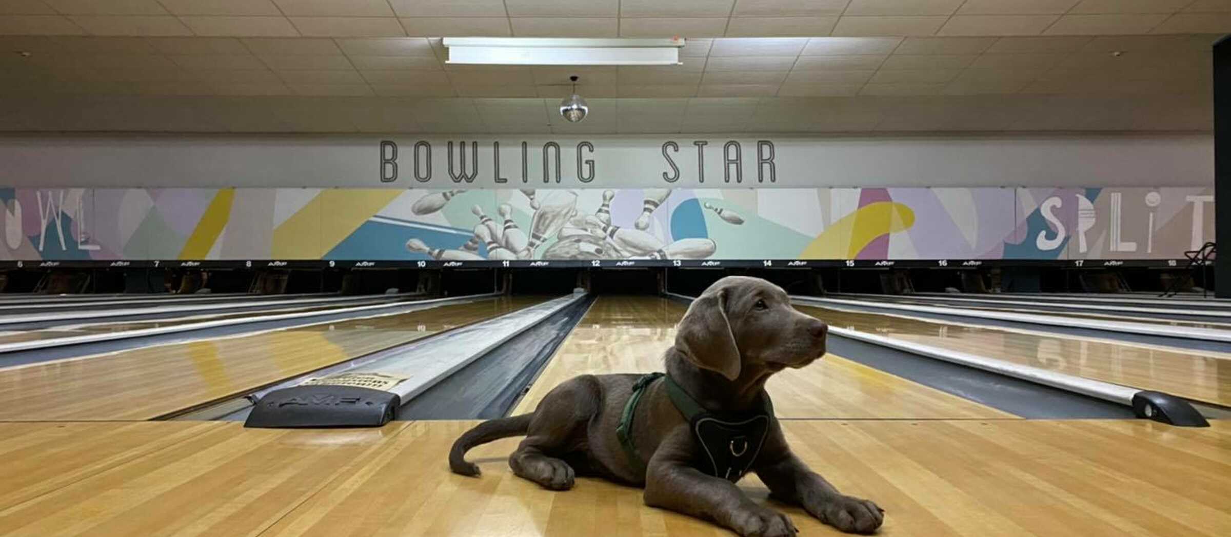Bowling Star