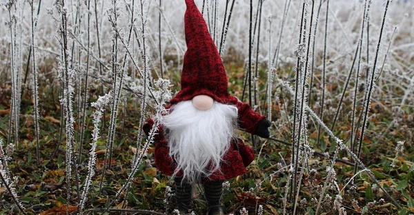 Symbolbild (Pixabay)