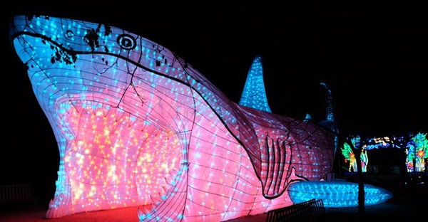 Magische Lichterwelten