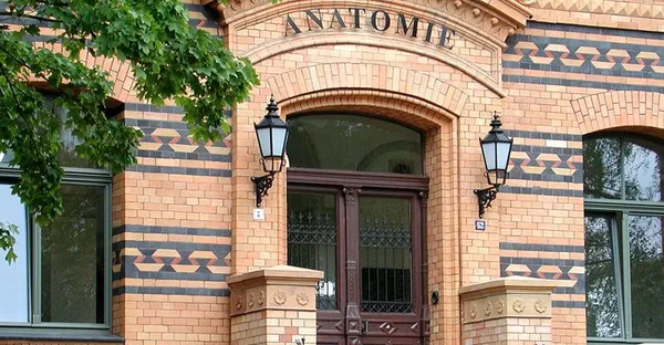 Institut für Anatomie und Zellbiologie