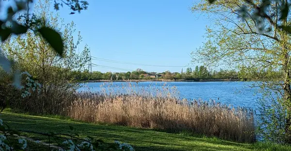 Rattmansdorfer Teiche