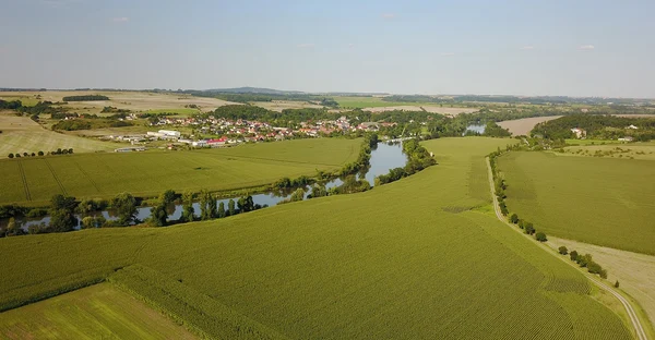 Foto: Wikimedia Commons