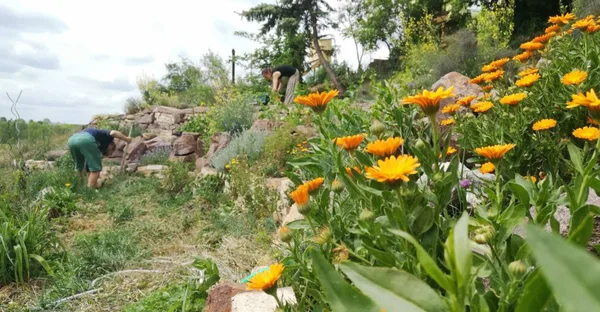 Gemeinschaftsgarten Trotha