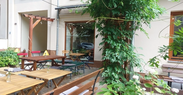 Das Bild zeigt den Außenbereich der Bar: Holzbänke und Pflanzen schmücken die Terrasse.