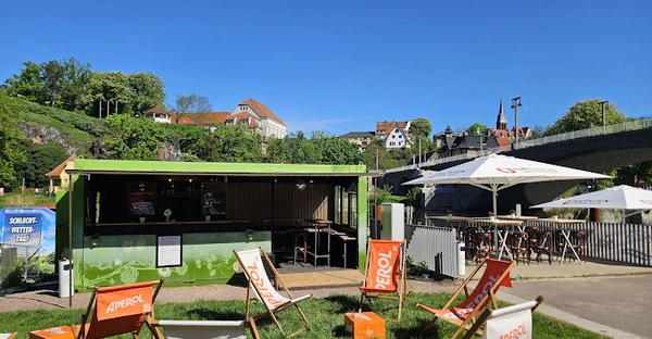 Das Bild zeigt eine Bar mit vereinzelten Liegestühlen auf einer Wiese, direkt an der Saale gelegen. Im Hintergrund sind das Stadtbild von Kröllwitz und die Kröllwitzbrücke zu sehen.