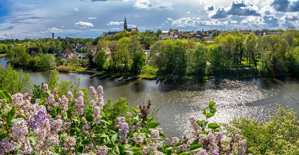 Blick ins grüne Saaletal mit Aussicht auf Kröllwitz