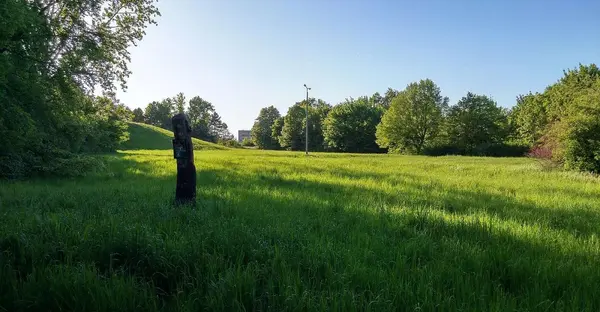 Zu sehen ist die Grünfläche des Stadtparks, die von Baumen umgeben ist und vom Sonnenlicht angestrahlt wird.