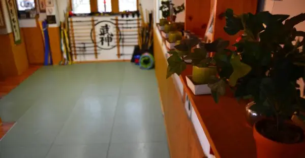 Bujinkan Yamabushi Dojo Halle e.V.