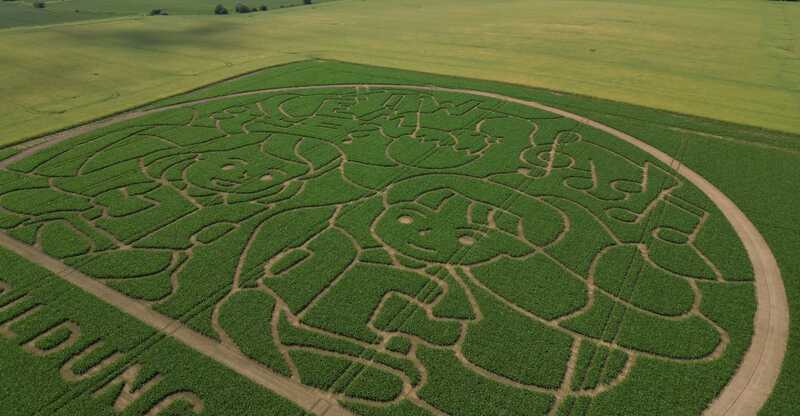 Maislabyrinth