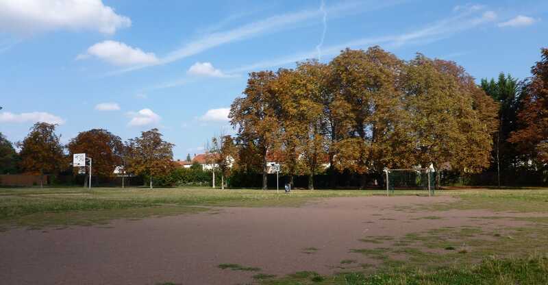 Bolz- und Basketballplatz Am Grünen Feld