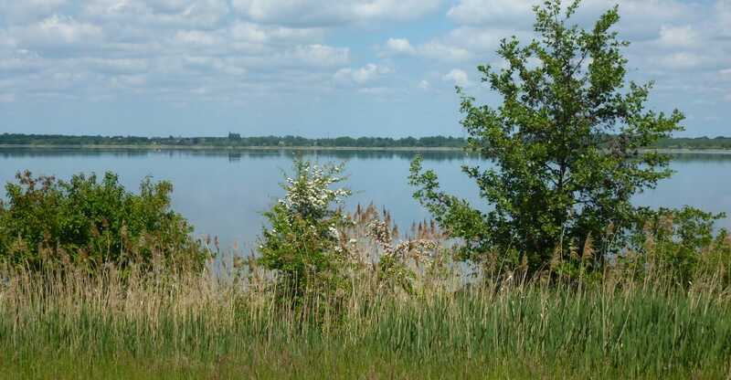 Raßnitzer See (Foto: Wikimedia Commons/Tnemtsoni)