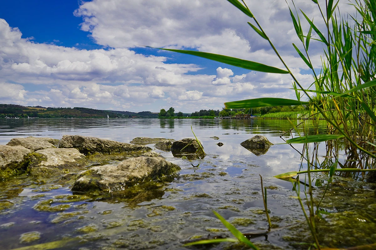 Blick auf den süßen See vom Ufer. An der Seite befindet sich grünes Schilf und im See liegen große Steine.