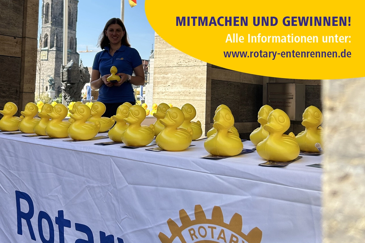 Verkauf Enten