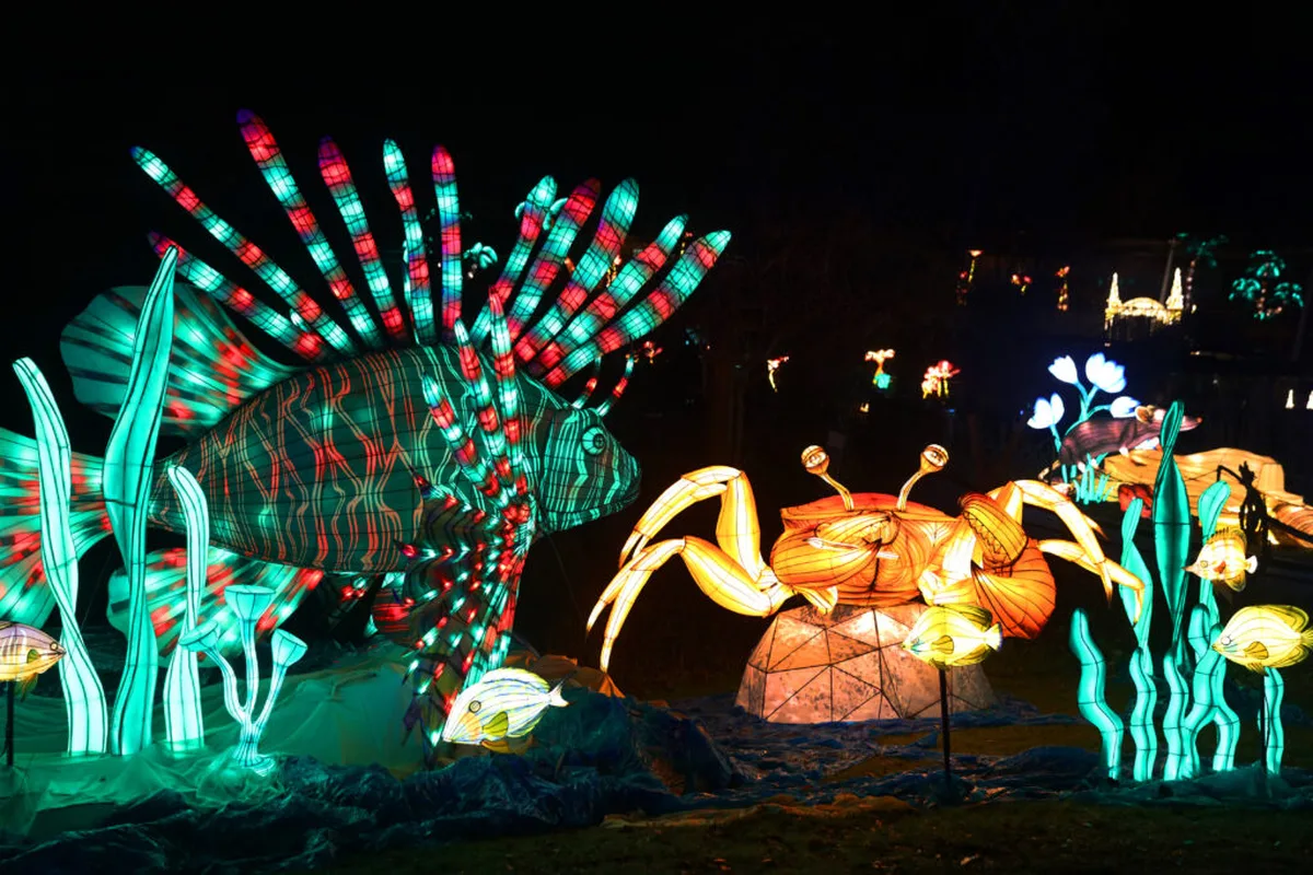 Beleuchtete Fantasiewesen