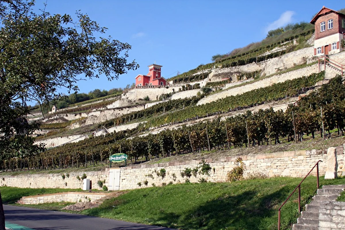 Man sieht den Hang eines Weinberges. Darauf stehen 2 Gebäude.