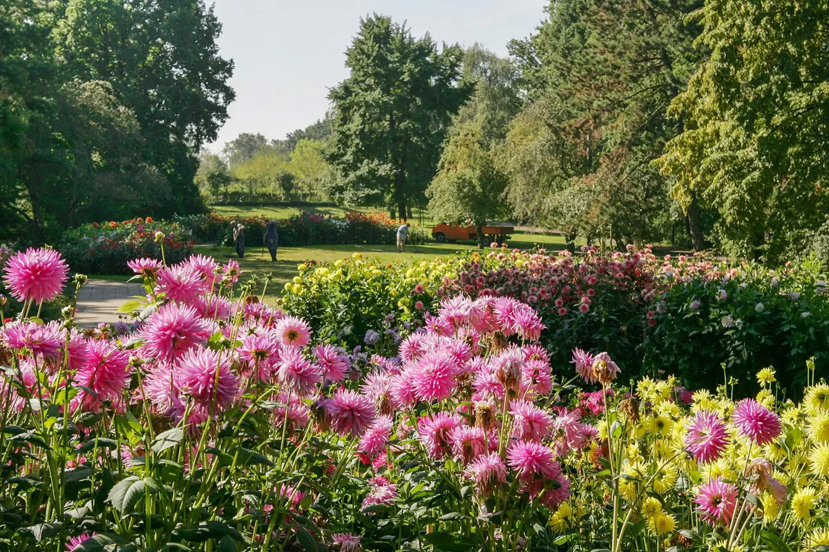 Pestalozzipark